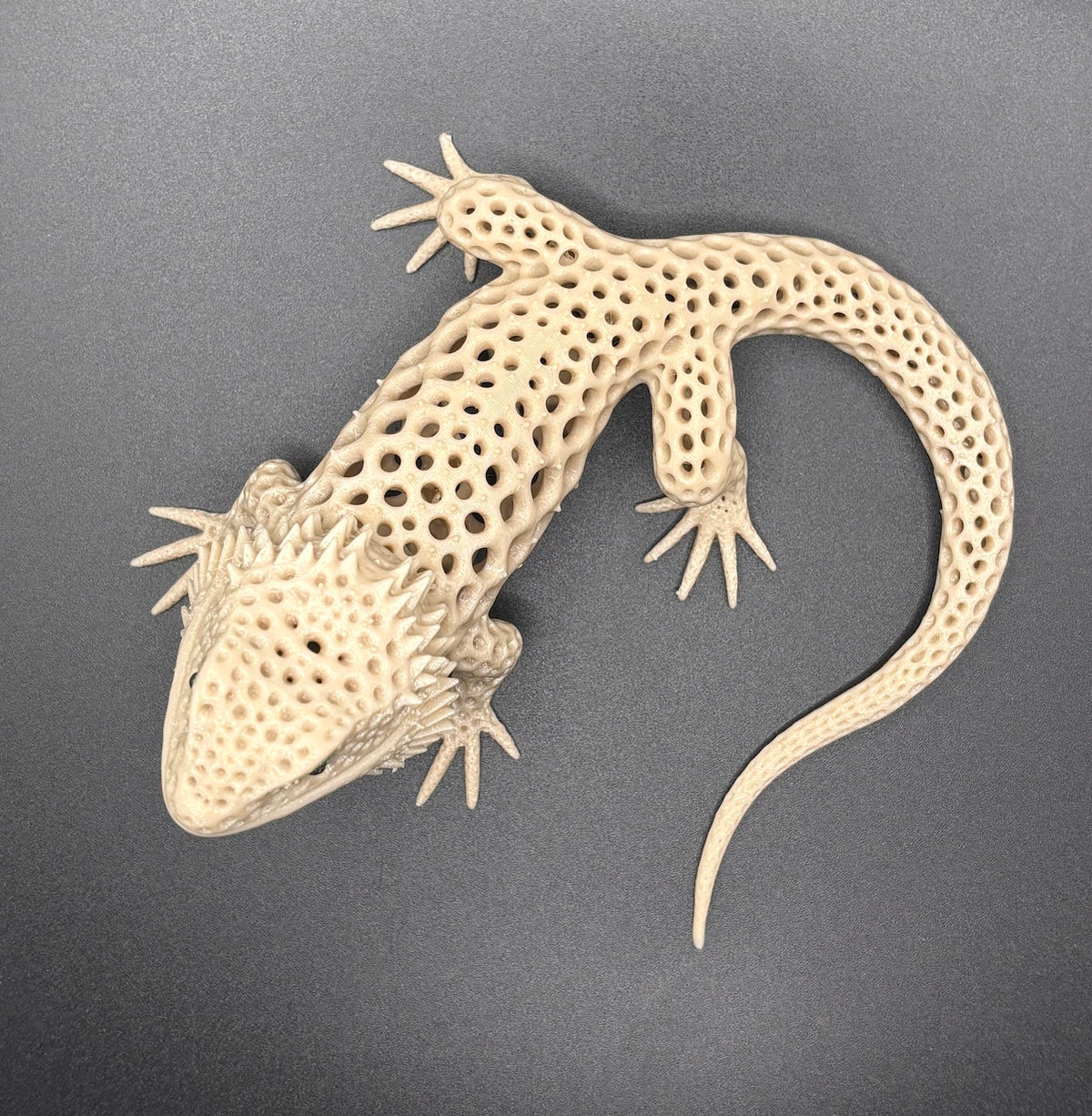 Voronoi Bearded Dragon | 3D Printed Reptile Sculpture & Collectible