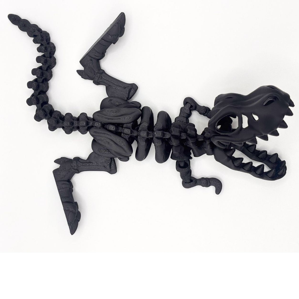 Articulated T-Rex Skeleton | 9.5" Dinosaur Fidget & Collectible