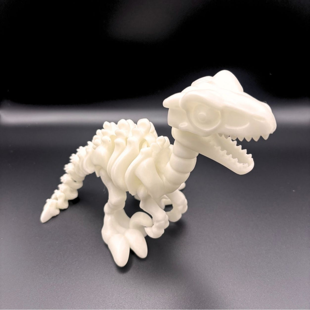 Articulated Velociraptor Skeleton | 8" Dinosaur Fidget & Collectible